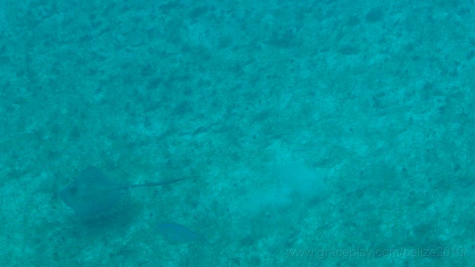 DSC01676.JPG