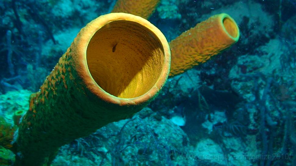 DSC01780.JPG