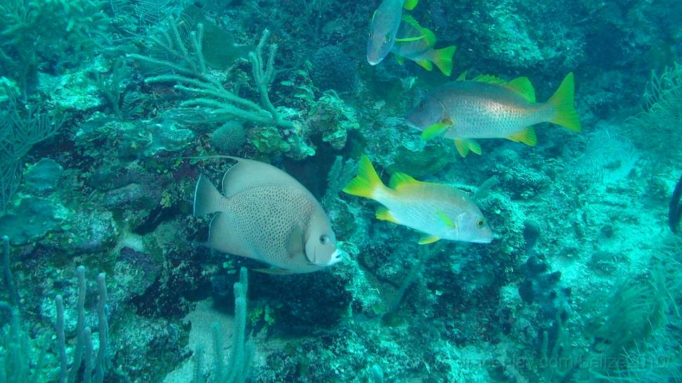 DSC02128.JPG