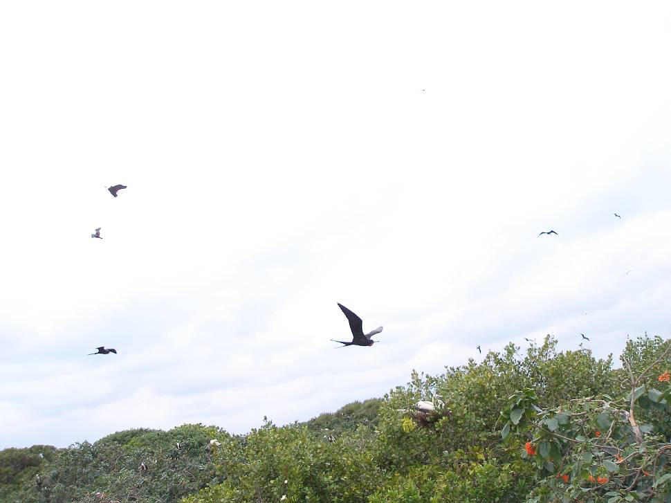 P1074500.JPG