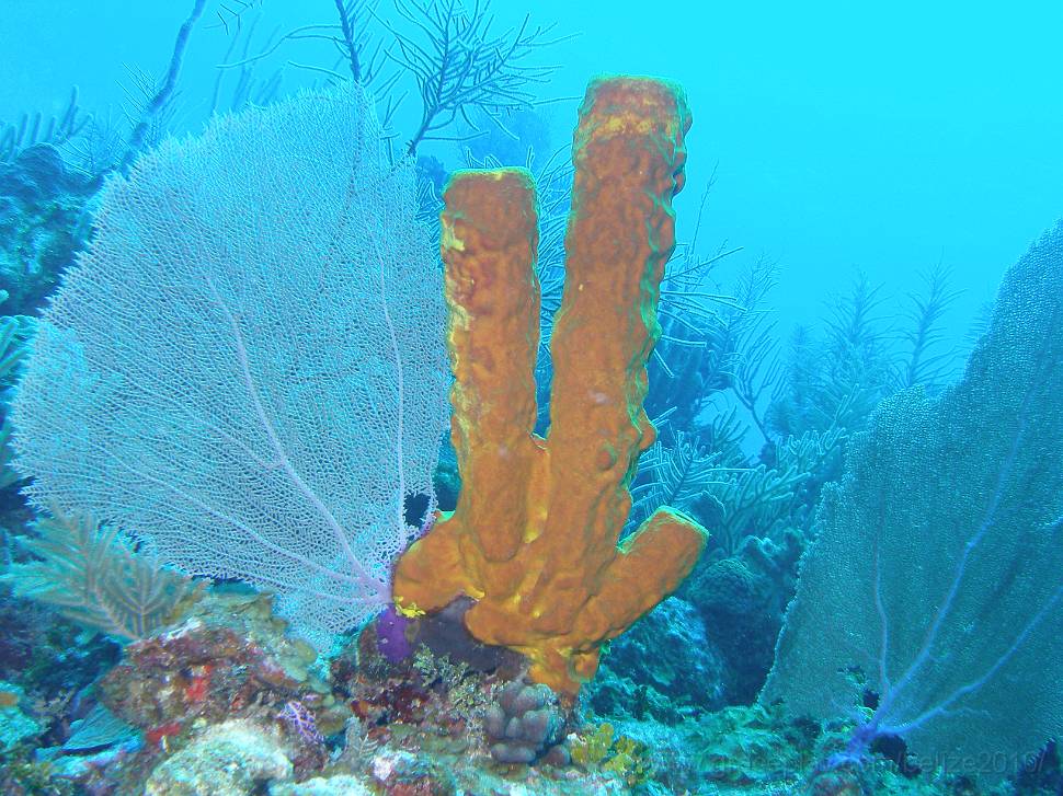 P1144681.JPG