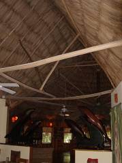 P1154817